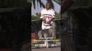 Did You Know That In The Hangover...