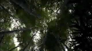 rotersand - lost (vídeo no oficial - per ntne)