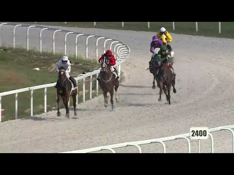 2020.09.13. 03. futam - IGAZGATÓNŐ HENDIKEP (V.o.) (szintetikus pálya)