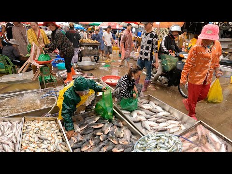 Toneladas de suprimentos de peixe na região - grande local de distribuição de peixes e frutos do mar no Camboja