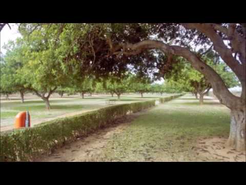 MERCAM - EN EL FONDO DE TU IRIS