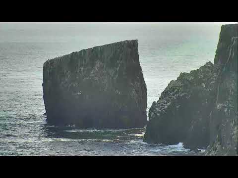 Anacapa Island Cove - Channel Islands National Park Cam 11-06-2017 07:30:22 - 08:30:23