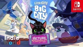 Nintendo Little Kitty, Big City – The Picture Purrfect Update