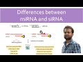 Difference Between MiRNA And SiRNA MiRNA Vs SiRNA