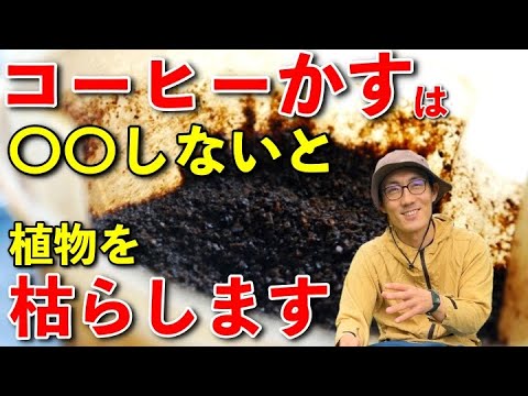 庭のコーヒー粕の導入方法