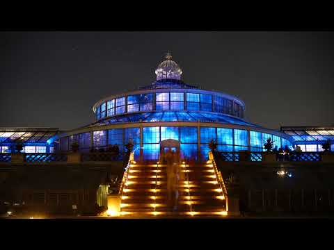 simskai - GUAP (Prod. Emilian Wonk)