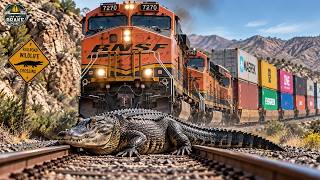 100 Terrifying Moments When Animals Collide With Trains | Moments Filmed Seconds Before Disaste