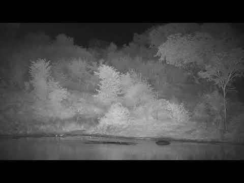 Djuma: Three Hippos leave - 01:50 - 04/23/21