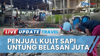 Pedagang Kulit Sapi Raup Omzet hingga Belasan Juta, Pasok Dagangan dari Kutai Timur sampai Jatim