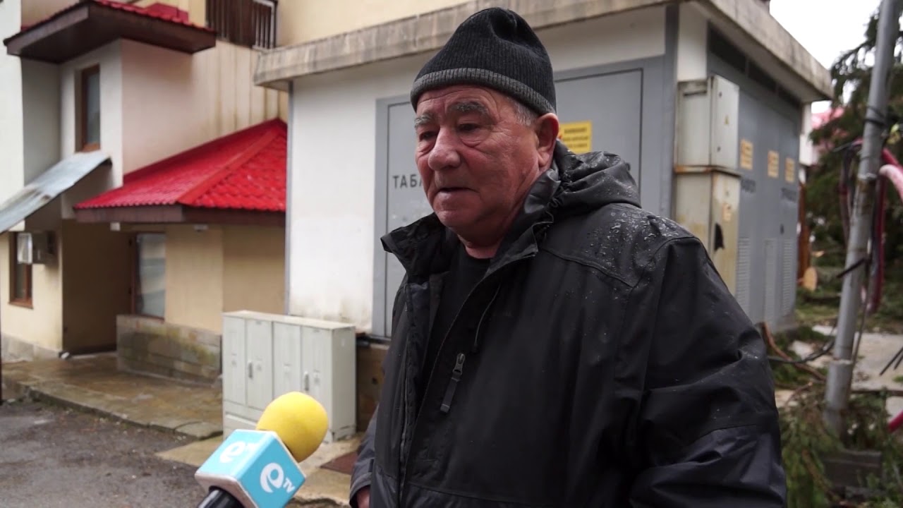 24 часа дъжд: Паднали дървета затиснаха 5 автомобила в Пампорово