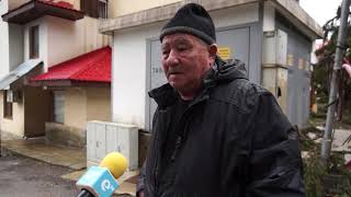 24 часа дъжд: Паднали дървета затиснаха 5 автомобила в Пампорово