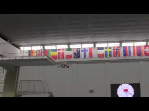 Perfect dive (Nikita Shleikher, RUS) 307c - 10m