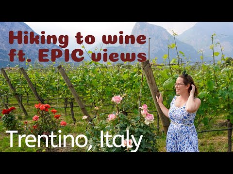 ⛰️ TRENTINO WINERY  // Epic things to do near Trento, Italy
