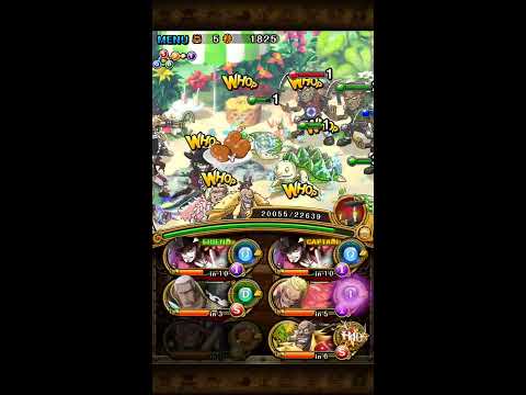 OPTC (Extra Island) Summer Paradise! Swimsuit Nami