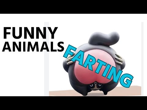 Funny Animals Farting compilation 2