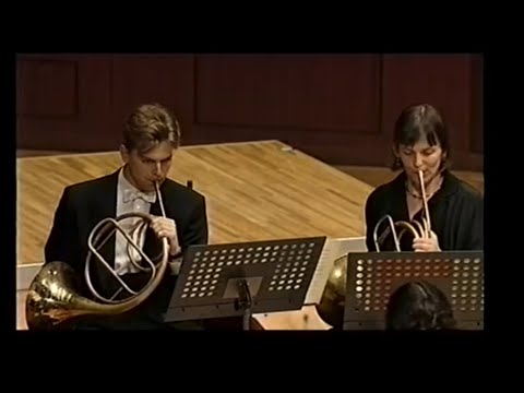 Mozart’s 40th Symphony, Two Horns Soli