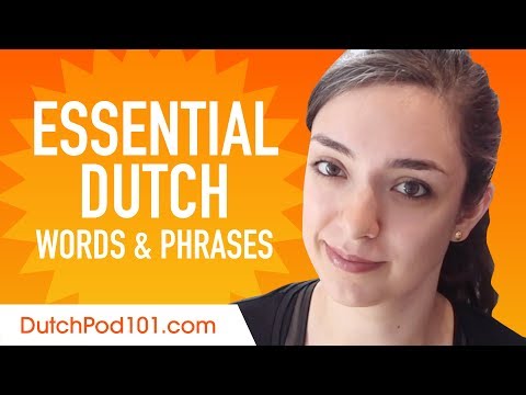 Essential Dutch Words and Phrases to Sound Like a Native