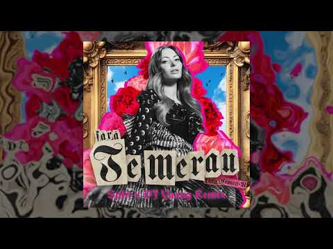 Delia x Connect-R – Fara Te Merau (Split x DJ Yaang Remix)