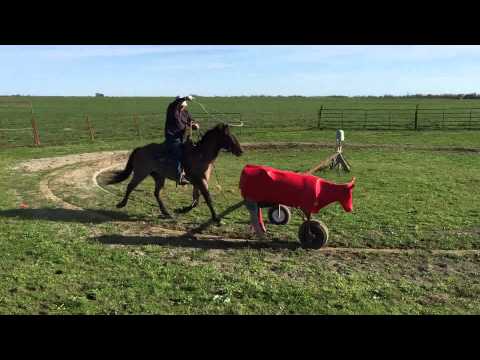 Buford Roping Dummy For Sale 03 2022