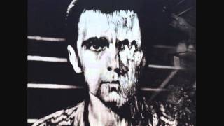 Peter Gabriel - Lead A Normal Life