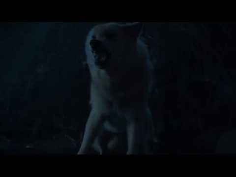 Game of Thrones Season 6 Episode 5: Direwolf Summer sacrifices himself to save Brandon Stark