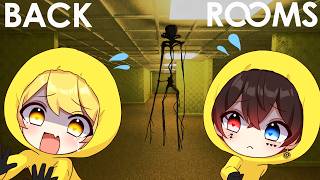 世界で話題の謎の部屋を歩く不気味なホラーゲーム【Escape The Backrooms】