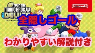 【NewスーパーマリオブラザーズUデラックス】全隠しゴール解説