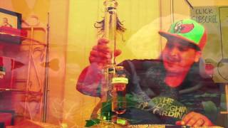 Stitchy C & Most Proper - Bong Hits & Blow Jobs (EDM Remix) - (Official Promo Video)