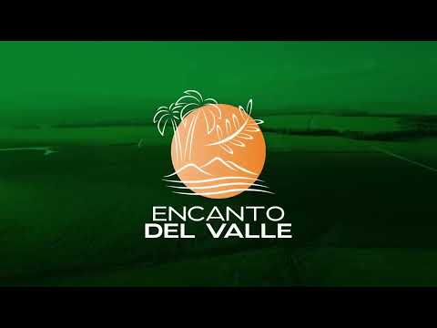 Previsualización de video