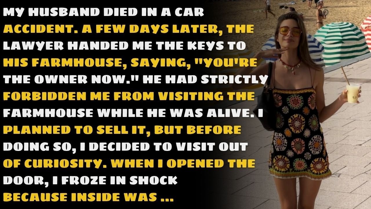 After my husband's funeral, I visited his forbidden farmhouse—what I saw there completely froze me..