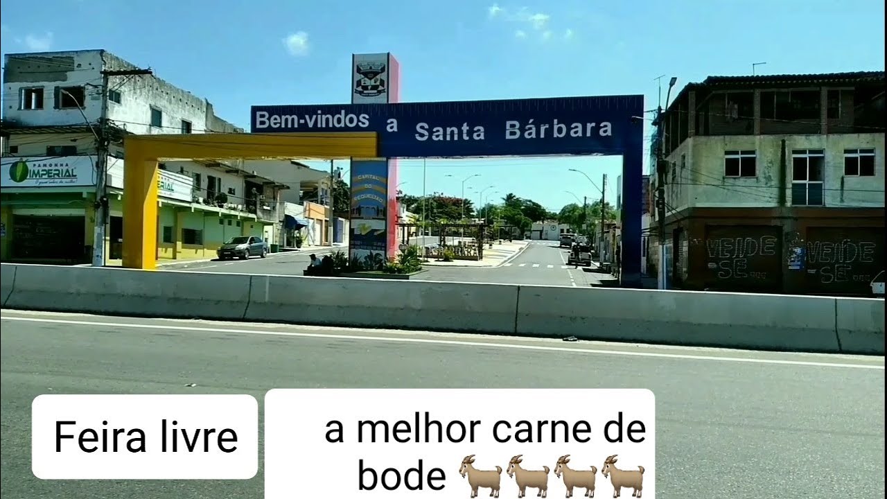 FEIRA LIVRE DE SANTANA BÁRBARA BA. melhor carne de bode 🐐🐐🐐