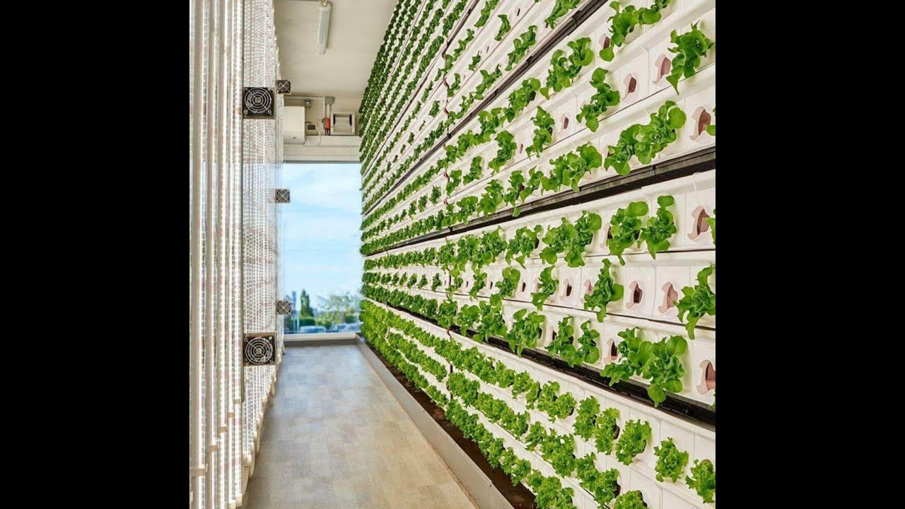 La revolución sostenible en el parking del supermercado