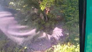 宮島をうろつく　⑤