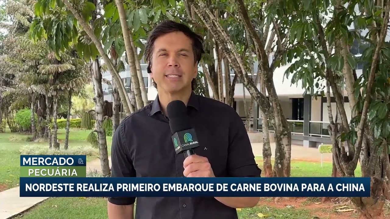 Nordeste realiza primeiro embarque de carne bovina para a China