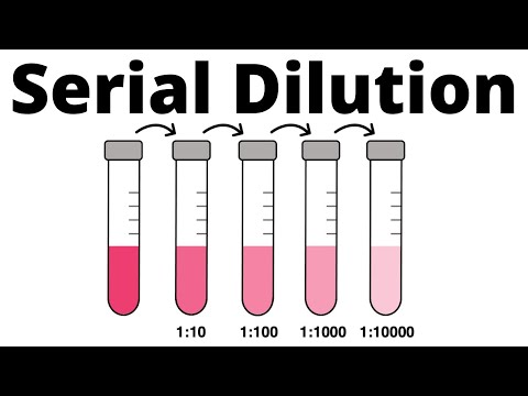 How to prepare a Serial Dilution
