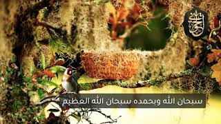 صورة مقطع رائع : ولذكر الله أكبر | للشيخ الحويني