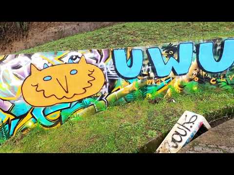 【FullHD】Puerto Montt midday Walk - From the hills to the sea, 2022