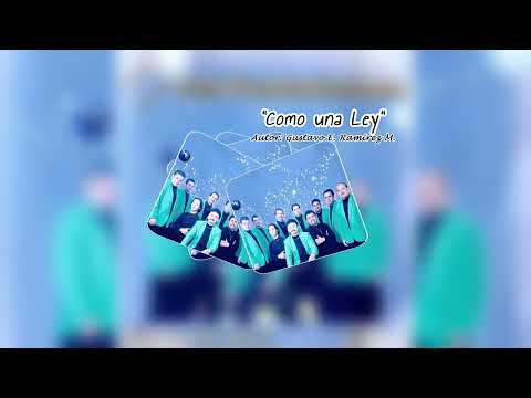 COMO UNA LEY Super Combo LOS PROFESIONALES de Zea, Mérida-Venezuela