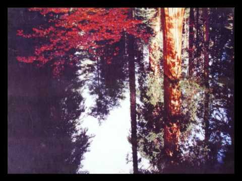 DNTEL - Paper Landscape