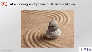 Jaro Bláha: Der künstliche Arzt - Genie oder Kunstfehler? | M.E.G.-Jahrestagung Web-Vortrag