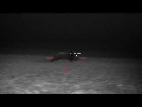 Dziki Pard 008 tikka t3x 6,5x55se wild boar hunting