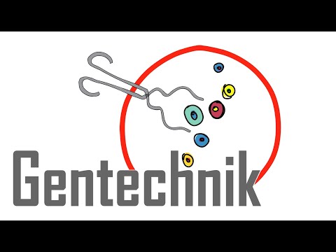 Gentechnik - Einfach erklärt
