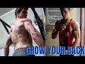 BACK GROWTH AND PROGRAMMING TIPS