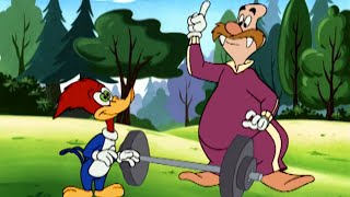 Woody está lá fora | Pica-Pau | Desenhos animados para crianças | WildBrain Português
