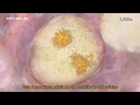 Inativação do cromossomo X e epigenética