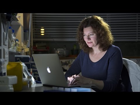 Richard III – The DNA Analysis & Conclusion