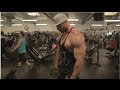 Get monster delts | Bradley Martyn