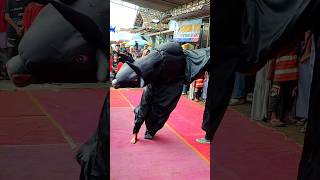 Download lagu Banteng Ngamuk Gara-gara dipecut...!! #viralvideo mp3