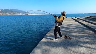 【泳がせ釣り】泳がせで狙うキジハタ（アコウ）