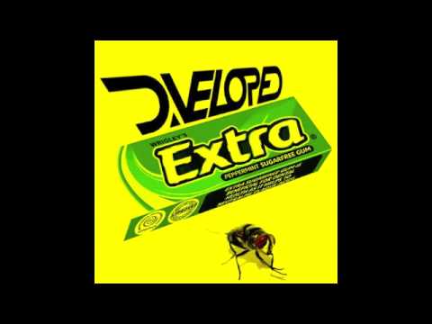 D.veloped - Extra Fly